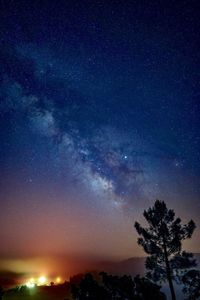 Low angle view of silhouette trees against sky at night