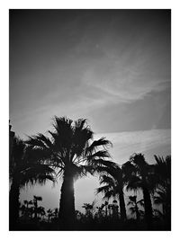 Low angle view of silhouette trees against sky at sunset