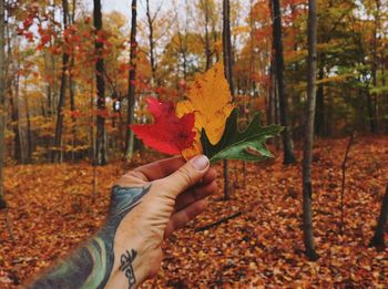 Midsection of person holding leaf during autumn