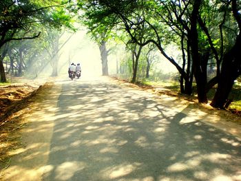 Rear view of people riding motorcycles on road