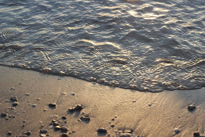 High angle view of footprints on beach