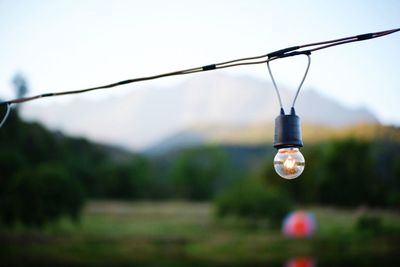 Close-up of light bulb against sky