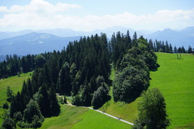 Panoramic shot of trees on landscape against sky