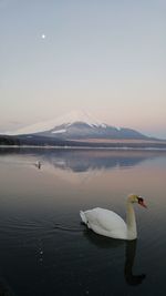 Scenic view of lake