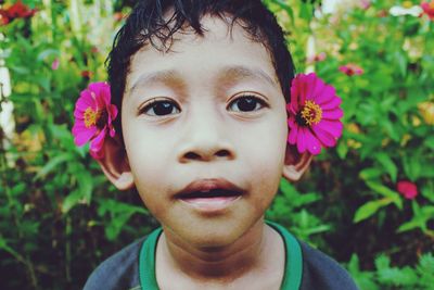 Close-up portrait of boy with zinnia on ears