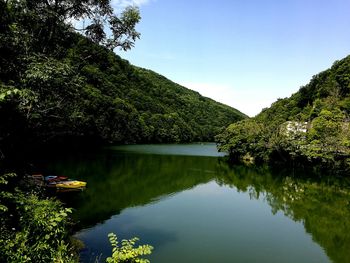 Scenic view of lake by trees in forest against sky