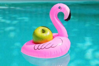 Close-up of apple on toy flamingo in swimming pool