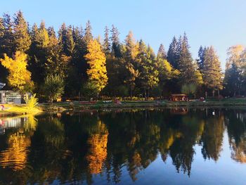 Trees by lake against sky during autumn