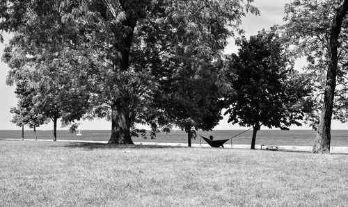 Scenic view of trees on field by lake