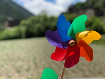 Close-up of multi colored pinwheel toy against trees and sky