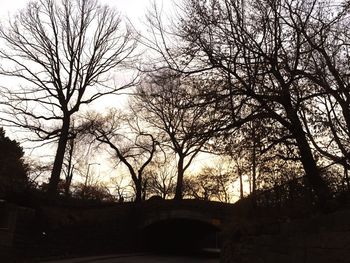 Bare trees against sky at sunset