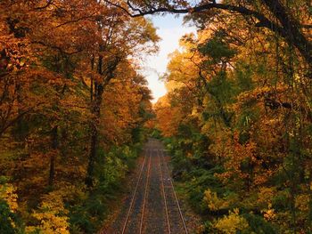High angle view of railroad tracks amidst autumn trees in forest