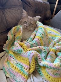 High angle view of cat relaxing on bed at home