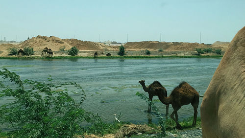View of a drinking water