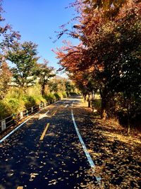 Road amidst trees against sky during autumn