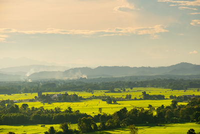 Scenic view of field against sky