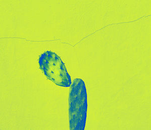 Close-up of insect on yellow leaf