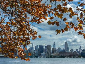 Trees and buildings against sky