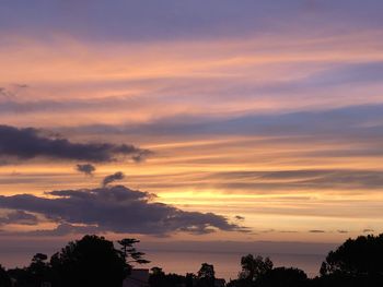 Low angle view of silhouette trees against sky during sunset