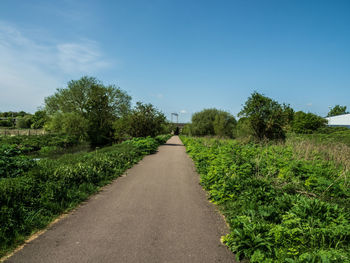 Empty road along plants and trees against sky