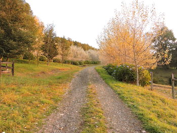 Dirt road passing through field