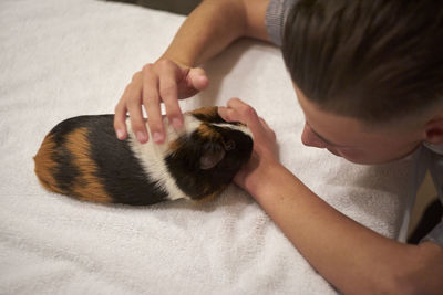 High angle view of man playing with rabbit on bed