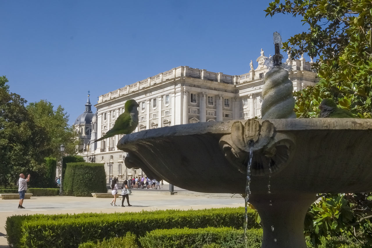 architecture, built structure, plant, building exterior, travel destinations, nature, sky, tree, travel, tourism, statue, history, the past, clear sky, landmark, city, sculpture, day, sunny, town square, blue, monument, building, group of people, outdoors, sunlight, tourist