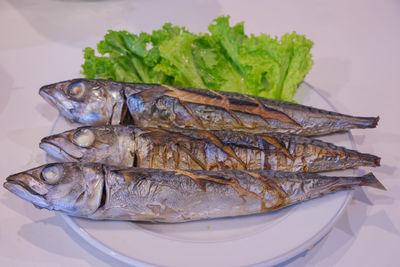 Close-up of fish in plate on table