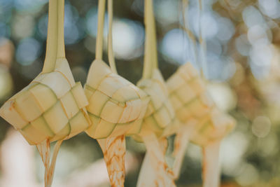 Ketupat or rice dumpling is traditional food in malaysia during eid celebration. 