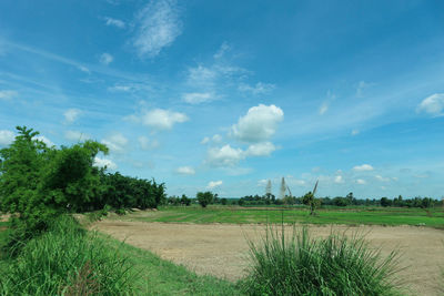 Scenic view of field against sky