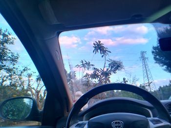 Reflection of trees in side-view mirror of car