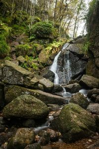 Stream flowing through rocks in forest