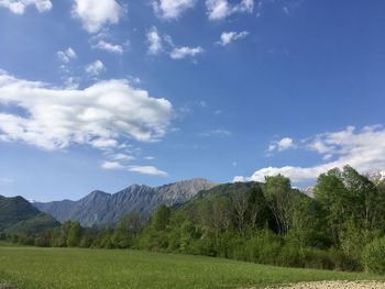 Scenic view of field against sky