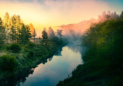 Scenic view of lake in forest against sky at sunset