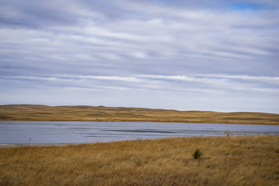 Scenic view of grassland against sky