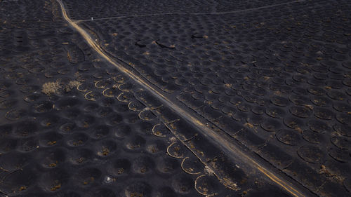 Spain, lanzarote, aerial view of volcanic landscape of bodega la geria vineyard