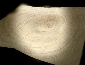 Close-up of wood against black background