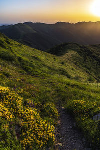 Scenic view of landscape against sky during sunset