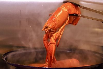 Close-up of preparing food