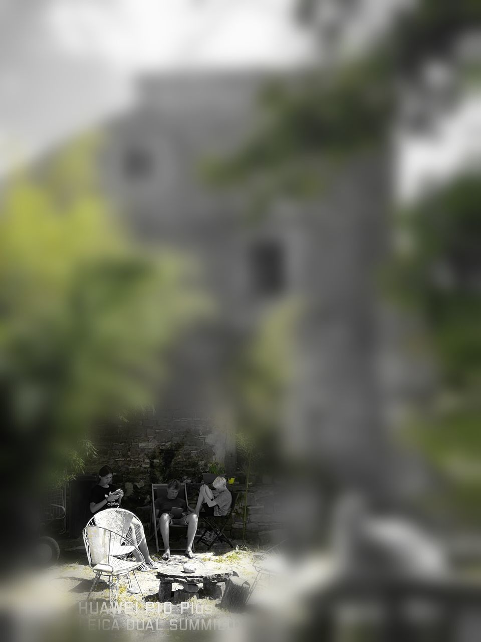 CLOSE-UP OF CEMETERY IN TREE