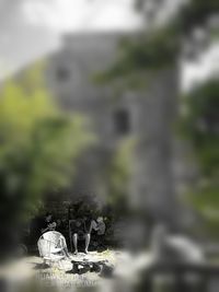 Close-up of cemetery