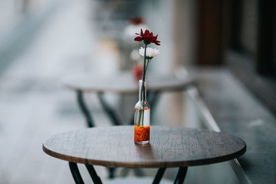 Close-up of red rose on table