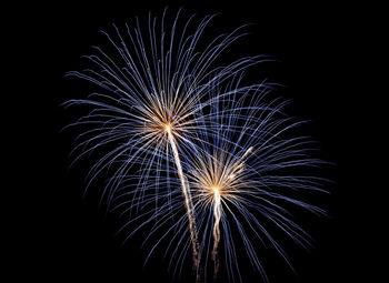 Low angle view of firework display at night