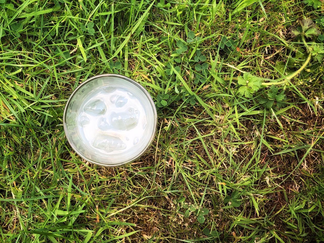 HIGH ANGLE VIEW OF BALL ON GRASS