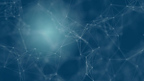 Full frame shot of spider web