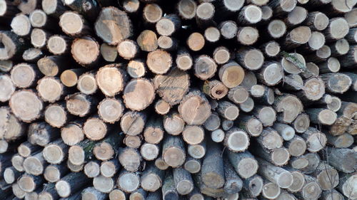 Full frame shot of logs