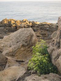 Close-up of rocks on shore by sea