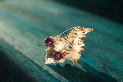 Close-up of butterfly on leaf