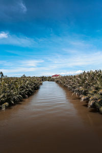 Scenic view of landscape against blue sky