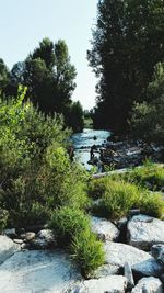 People on riverbank by trees against sky